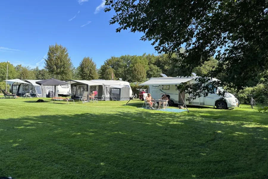 Naturistencamping Nederland Flevo Natuur hond 5